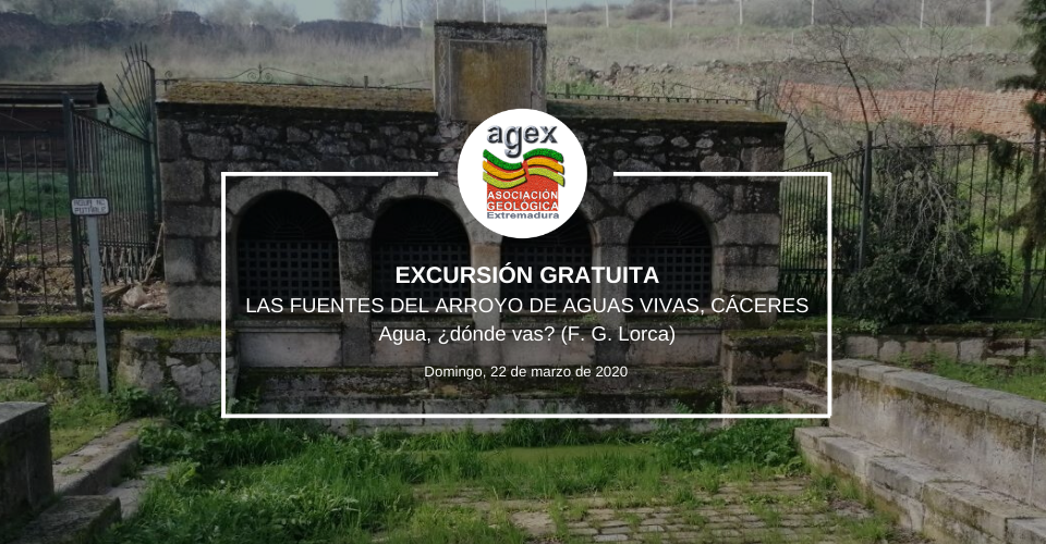 curso agex